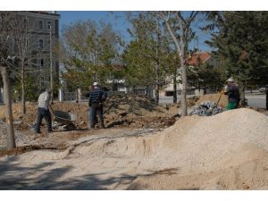 Belediye Sarı Çiçek Parkını Yeniliyor