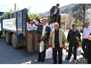 İnönü Şehitleri İçin 4 Bin Fidan Dağıtımı