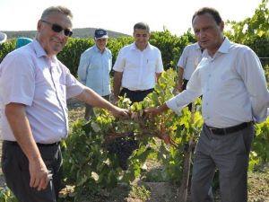 Manisa Valiliğinden Kuru Üzümde Kalıntı Madde Açıklaması