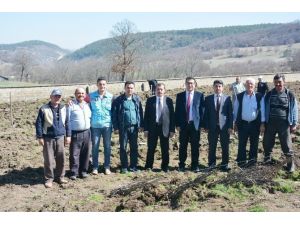 Köylere Hizmet Götürme Birliği’nden Meyve Fidanı Desteği