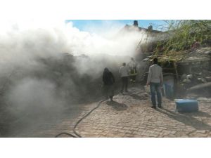 İki Büyükbaş Hayvan Telef Oldu