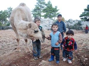 Yörük çocuğu alarak yaşamak çok zor