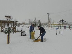 Kulu'da hayırseverlerden kuşlara yem