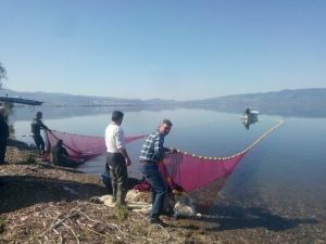 İznik Gölü’nde Gümüş Avı Başladı