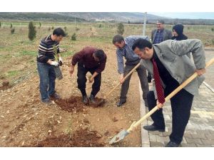 İslahiye Myo’dan Fidan Dikme Etkinliği