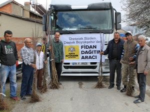 Konya'da fidan dağıtımı