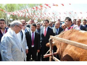 Büyükşehir, Afrika Hastalığının Aşı Kampanyasını Elbistan’dan Başlattı