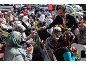 Erdemli’de Kutlu Doğum Haftası Etkinlikleri