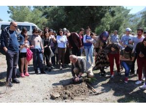 Paü Honaz Myo’dan Ağaç Dikme Etkinliği