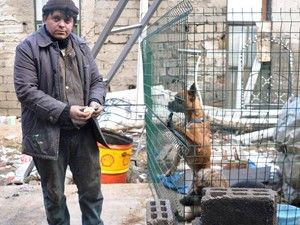 Köpeklere sahip çıkıyor