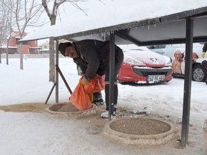 Belediyeler aç hayvanlara yem bıraktı