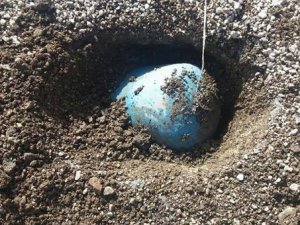 Konya Ereğli'de Karayolu Yakınına Gömülü 6 Kilo C-4 Bulundu