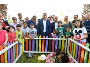Muratpaşa Belediyesi, 13 Köpek Ve 5 Kediyi Sahiplendirdi