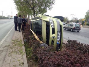 Refüjdeki ağaca çarpan otomobil devrildi: 1 yaralı