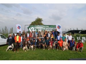 Balıkesir’de Av Köpekleri Yarıştı