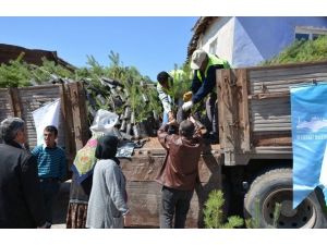 Seyitgazi Belediyesi 10 Bin Fidan Dağıttı