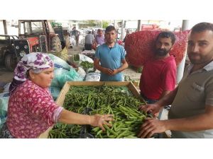 Baklada Son Günler, Bezelyeler Piyasada