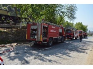 Nazilli’deki Yangında İşyeri Küle Döndü