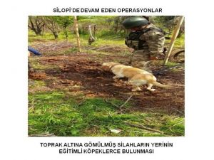 Silopi’de Operasyonlar Devam Ediyor