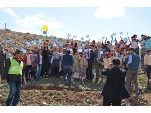 Narman’da Öğrencilerin Ağaç Dikme Sevinci