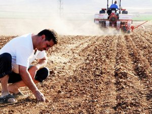 Çiftçinin umudu nisan yağmurları