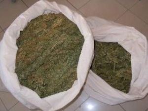 Konya'da 10 kilo esrar ele geçirildi