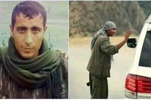 Hakkari'de yol kesen PKK'lı öldürüldü