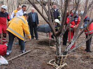 Tavuk yemlerken kuyuya düştü