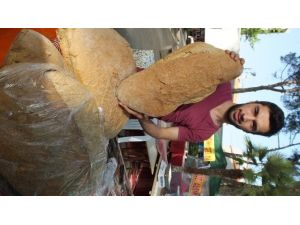Balina Ekmeği Burhaniye’de