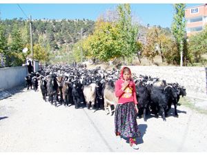 Göçerlerin uyum sorunu