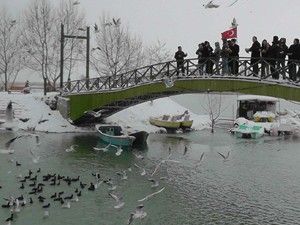 Kaymakam ve belediye başkanı aç kalan su kuşlarını besledi
