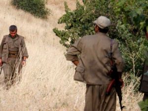 Faili meçhul soruşturması PKK'daki infazlara uzandı