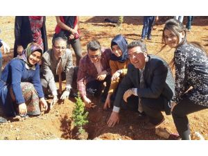 Sosyal Bilimler Myo Öğrencilerinden Ağaç Dikimi Etkinliği