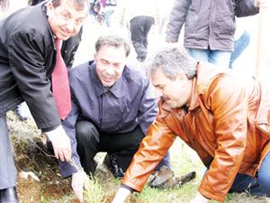 2 bin fidan toprakla buluşturuldu