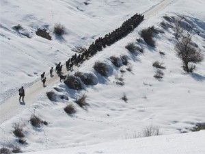 Ağır kış şartları keçi sürülerini de olumsuz etkiliyor
