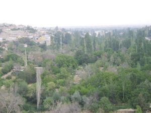 Ağaçlar gürültü kirliliğini azaltıyor
