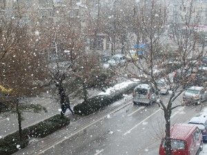 Yağışlar rahmet, rahmet bereket oluyor