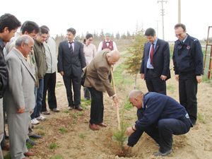 Cezaevi bahçesi ağaçlandırıldı
