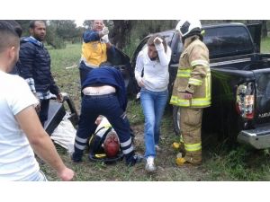Zeytin Ağacına Çarpan Sürücü Yaralandı