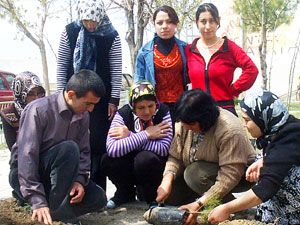 Engelli öğrenciler fidan dikti