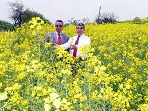 Haberiniz var mı?