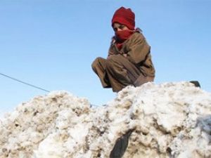 Çocuklar soğuğa dayanamadı: 40 ölü