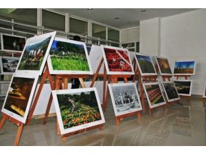 Sungurlu’da ’tarım Ve İnsan Konulu’ Fotoğraf Sergisi