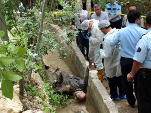Bahçesini Sulamak İsterken Canından Oldu