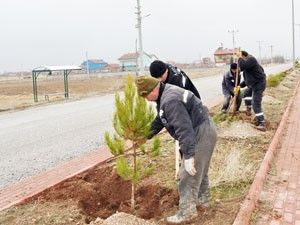 Meramda Gödene ve Çarıklar ağaçlandırılıyor