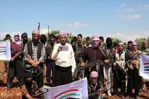 Kürtler PKK karşıtı örgüt kurdu