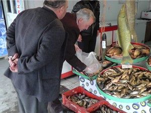 Beyşehir'de sazan balıkları canlı satışa sunuluyor