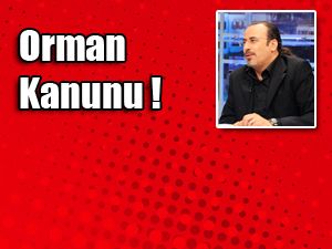 Kerem İşkan yazdı