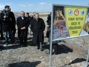 Karamanda hayvanlar için alt geçit yapıldı