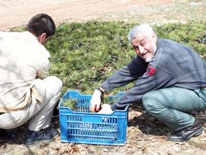 Dost Eli, ormanlara da yardım elini uzattı